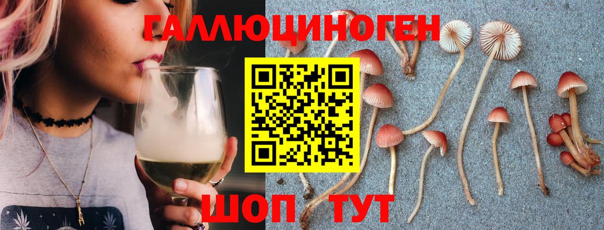 Галлюциногенные грибы Magic Shrooms  Псилоцибиновые грибы Magic Shrooms  Вход с VPN  купить наркотики цена  Кудымкар 